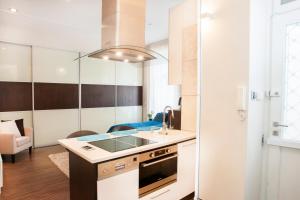 Viktoria Central Apartment