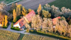 Le Mont Balenberg photo 24