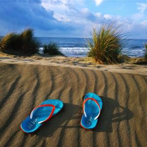 Villas Bastide Philomen : photos des chambres