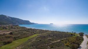 Iguana Villa Zakynthos Greece