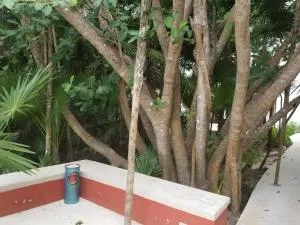 Casa Azul - Chemuyil