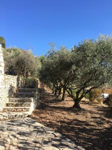 Maisons de vacances Location Bonnieux Provence : photos des chambres