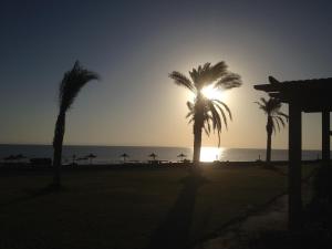 Beach Front Chalet (For Families)