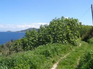 Anthemis Rooms Samos Greece