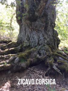 Le Paradis photo 21