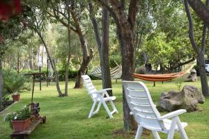 B&B Is Murdegus img38