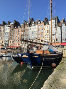 Appartements Sous les toits d'Honfleur : photos des chambres