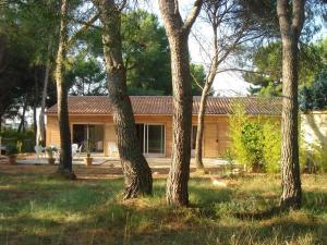 Maisons de vacances La Petite Maison Sous les Pins : photos des chambres