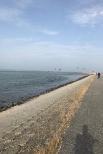 Haus Gorch Fock