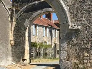 Le Vieux Château de Saint Martin-Lars - 圣埃米娜