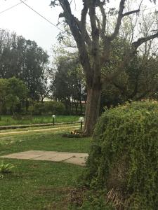 AGRIB&B Il Pomo d'oro img33