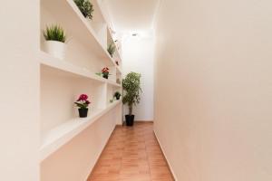 Vivienda Miguel Rosas