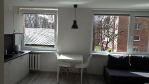 Anykščiai Center Apartment