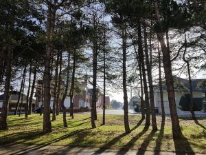 Appartements SUNNY DAYS - App 60 m2 avec balcon, 4 pers, 3e etage, au calme et ensoleille : photos des chambres