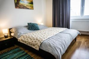 Apartment Eric 9D High Tatras