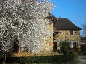 Hotels Hotel Chastrusse : photos des chambres