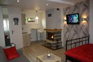 Pokoje, apartament NA WYSPIE - Sobieszewo