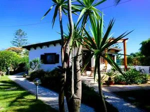 Punta Secca - DEGNO - - Punta Secca