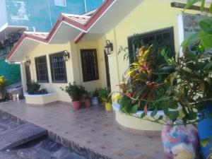 Hostal Bocas Tropical Paradise