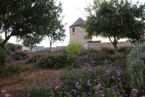 The Windmill Resort Kythira Greece