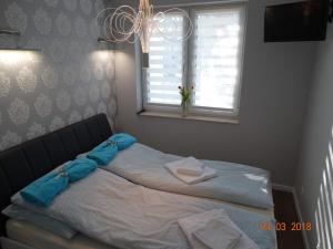 Apartament Dwie Sosny