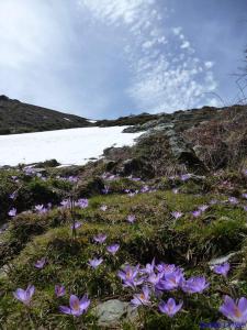 B&b Gennargentu img9