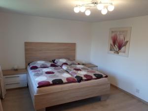 Appartement Haus Verena Schwanenstadt Autriche