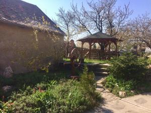 Homoky Pincészet és Vendégház