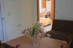 Virgin Mary - Argoulés