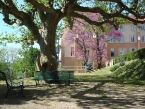 Hotels Domaine Lyon Saint Joseph : photos des chambres