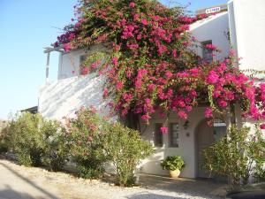 Despina's Mare Paros Greece