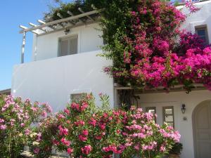 Despina's Mare Paros Greece