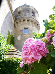 B&B / Chambres d'hotes Chateau de la Grave : photos des chambres