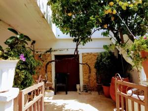 Three Bedroom Apartment in City Center with Sea View near the Beach