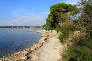 Apartments with a parking space Dajla, Novigrad - 11324