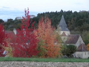 Côté Cour photo 12