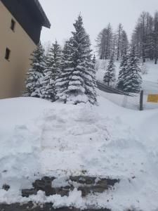 Appartements Front de Neige Isola 2000 : photos des chambres