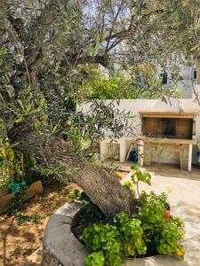 Dapia Holiday Home Spetses Greece