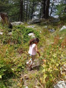 Appartements Front de Neige Isola 2000 : photos des chambres