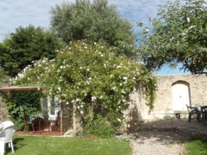 B&B / Chambres d'hotes Chambres et Tables d'hotes a l'Auberge Touristique : photos des chambres