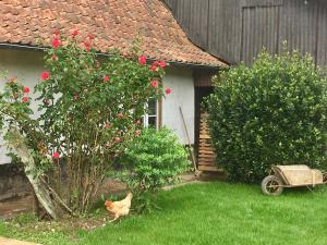 Sejours a la campagne La fermette de Jules : photos des chambres