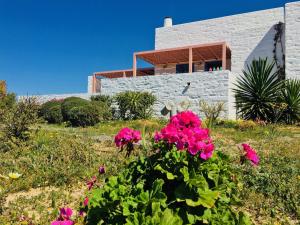 Aliki Beach House Paros Greece