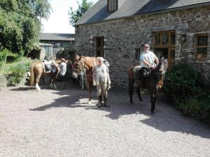B&B / Chambres d'hotes Le presbytere de Brectouville : Chambre Double