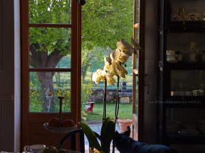 Maisons de vacances Gites Les Deux Abbesses en Vert : photos des chambres