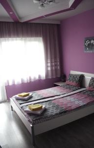 Old Town Apartment 2