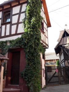 Appartements Comme une tour dans le centre Historique : photos des chambres