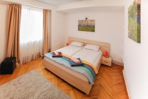 Stay Inn Center Timisoara