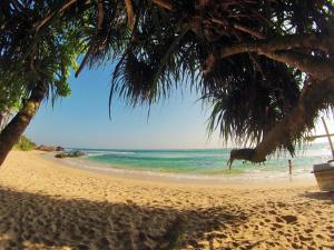 Endless Summer - Sri Lanka