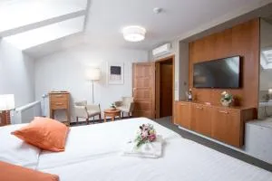 Hotel Pod Věží - 霍多宁