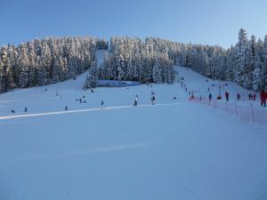 Flora Ski-slope Studio Apartment